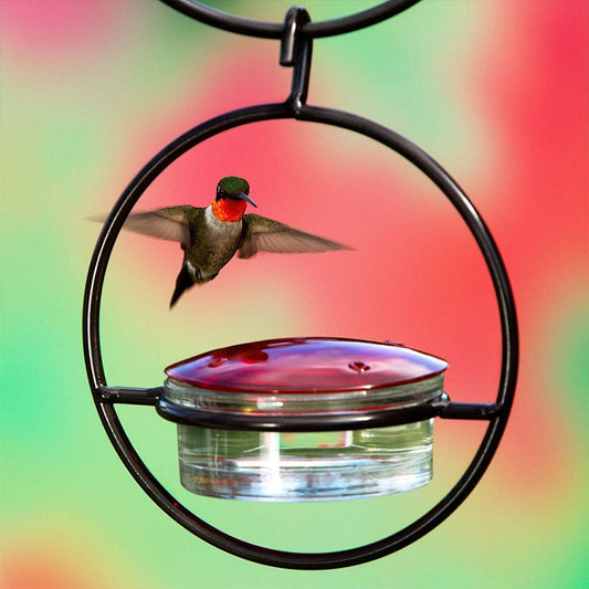 Függő kolibri etető – prémium fémváz, üvegbetéttel 🔩🐦