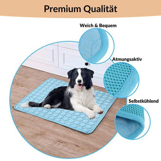 🧊 Kifejezetten háziállatok számára készült prémium hűtőpárna 🐶